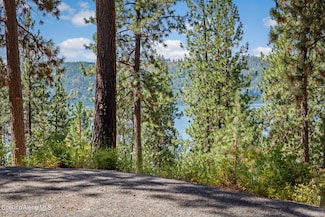 2396 E Crows Nest Rd, Harrison, ID 83833