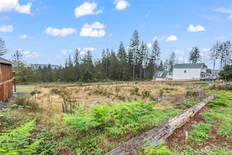 0 xxx E Blackwell (Lot 5) St, Allyn, WA 98524