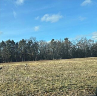 0 Lime Kiln Rd Unit 17 753027, Schuylkill County, PA 18211