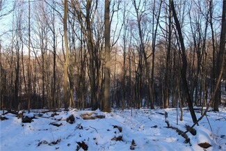 Lot 169 Squirrel Rd, Connoquenessing Township, PA 16033