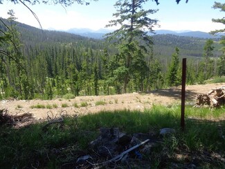 LOT 3 Snowbird Subdivision, Georgetown Lake, MT 59711