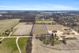 VL Bonanza Rd, Lake Odessa, MI 48849