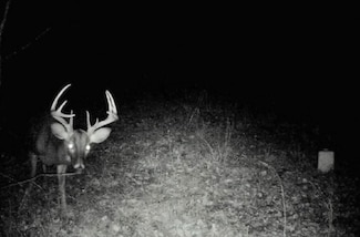 0 Tbd Janesville Rd, Terry, LA 71263
