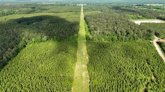 0 Bean Rd, Osyka, MS 39657