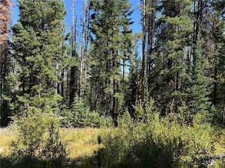 Lot 52 Springboard Trail, Oak Creek, CO 80467
