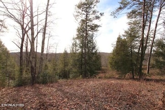 0 Big Leaf Cove Rd, Jamestown, TN 38556