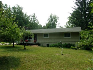 10075 Rogers Rd, Alanson, MI 49706