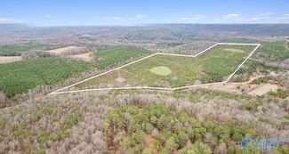 1 County Road 288, Collinsville, AL 35961