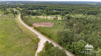 0 County Road 208, Jack, AL 36346