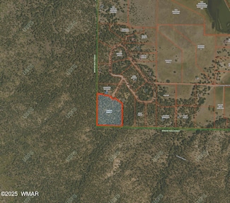 1 Colorados Ln Unit 2168, Alpine, AZ 85920