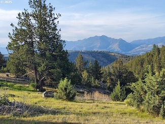 0 Wiley Creek Rd Unit 500934684, Dayville, OR 97825