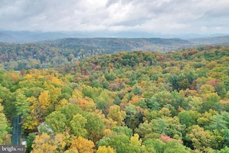 270 Miller Rd, Basye, VA 22810