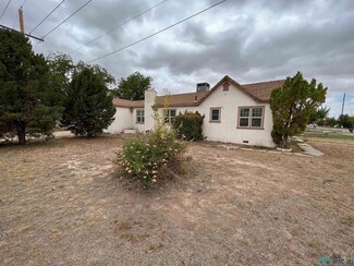 411 S Elm St, Carlsbad, NM 88220