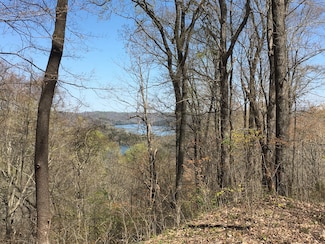 0 Rutherford Ln Unit RTC2867601, Smithville, TN 37166