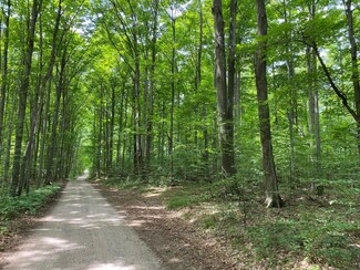 0 Old Vanderbilt Rd Unit 40 ACRES 325256, Vanderbilt, MI 49795
