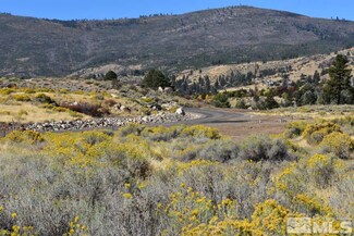 350 River Pines Dr Lot 14, Verdi, NV 89439