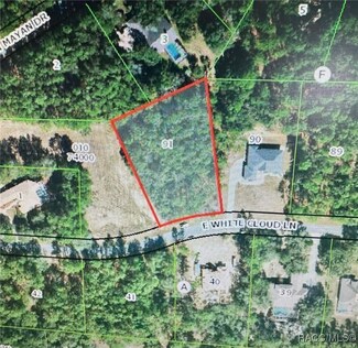 765 E Whitecloud Ln, Hernando, FL 34442