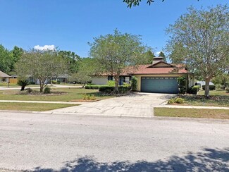 14919 Coldwater Ln, Tampa, FL 33624