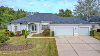 115 Black Hickory Way, Ormond Beach, FL 32174