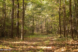 0 Lake View Golf Course Rd Unit 4132339, Meridian, MS 39301