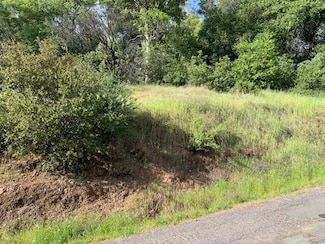 2193 Skunk Ranch Rd, Murphys, CA 95247