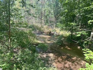 Parcel 2 S M-88, Bellaire, MI 49615