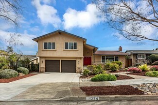 11244 Terra Bella Dr, Cupertino, CA 95014