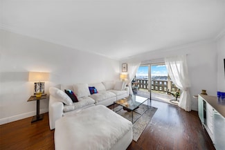 4330 Hillcrest Dr Unit 905, Hollywood, FL 33021