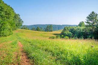 000 Fairhaven Dr, Dugspur, VA 24325