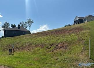 LOT 73 Fall Creek Dr, Guntersville, AL 35976