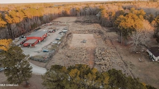 230 Donald Ln, Brandon, MS 39047