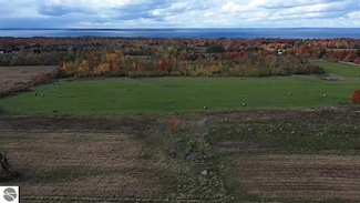 13295 Coleman Rd, Kewadin, MI 49648