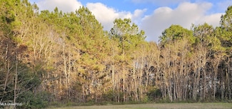 0 Crescent Shore Dr, Biloxi, MS 39532