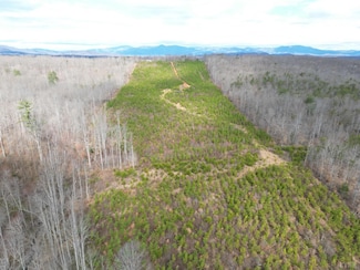 14 Braxton Ridge Rd, Amherst, VA 24521