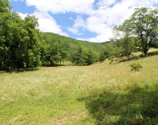 1300 Roy Gap Rd, Western, WV 26884