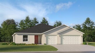 10272 Alder Green Dr, Riverview, FL 33578