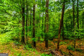 32 Oak Hill Rd, Ellijay, GA 30540
