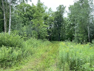 ON Joe Snow Rd Unit Sale 2043-5, Merrill, WI 54452