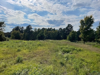 TBD 2.8 Ac N Point Pleasant Rd, Gladewater, TX 75647
