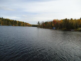 TBD W Leavitt Rd, Outing, MN 56662