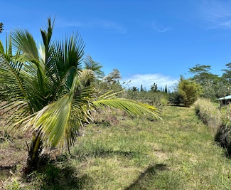 15-1429 16th Ave, Hawaiian Paradise Park, HI 96749