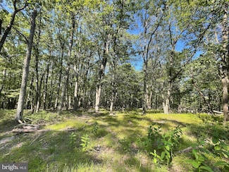 424 Camel Back Ln, North Union Township, PA 17985