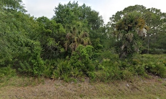 23414 Elmira Blvd, Point Charlotte, FL 33980