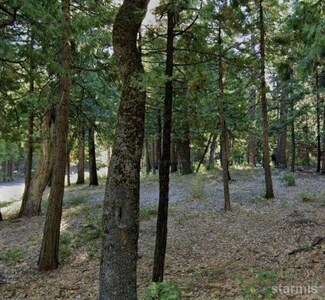 3827 Apache Rd, Arnold, CA 95223