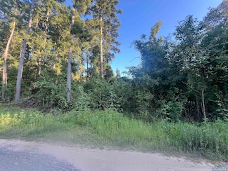 TBD Applewood Trail, Gilmer, TX 75645