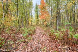 13540 8 Mile Rd, Evart, MI 49631