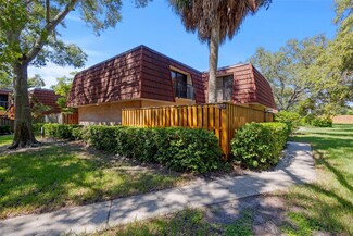 2713 4th Ct, Palm Harbor, FL 34684