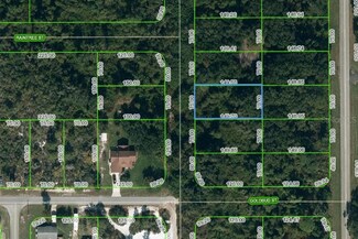 251 Marshall Ave, Lake Placid, FL 33852