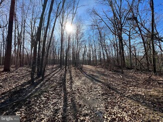 TBD Oak Hill Dr, Springfield, WV 26763