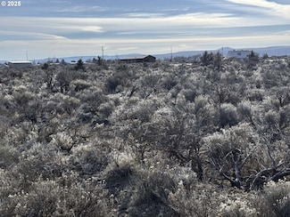 0 Winter St Unit 1300 279502329, Christmas Valley, OR 97641